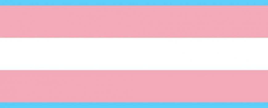 transgender flag