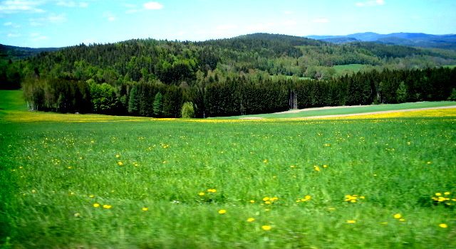 Gute Erde Foto E.Wolschlager