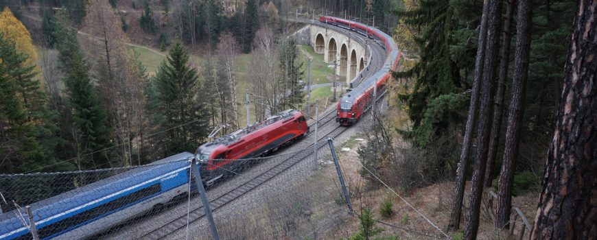 DSC01423 Zugbegegnung am Viadukt über den Adlitzgraben 17112018_ek