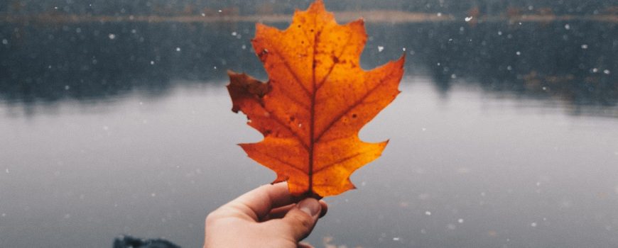 November Photo by Ethan Hoover on Unsplash