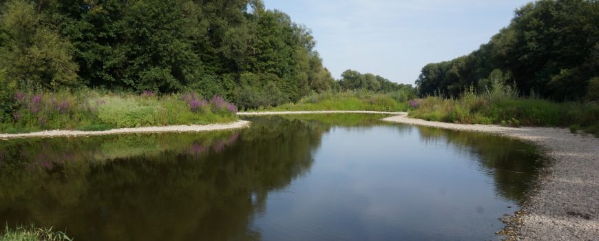 DSC04833 An der Rott bei Bad Birnbach, 26.7.2019