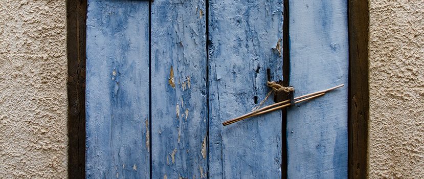 Wie das Blau in die Welt kam Fliegen mögen keine blauen Fensterbalken.