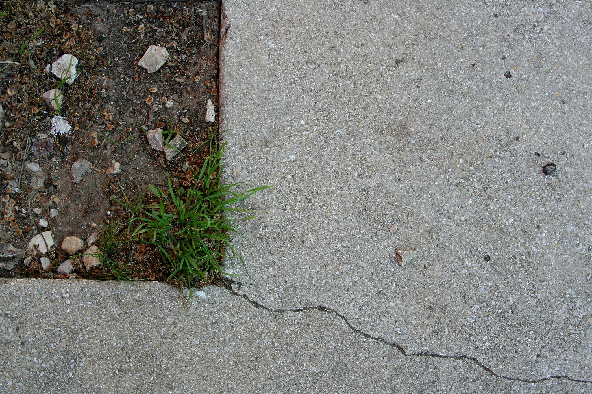 concrete