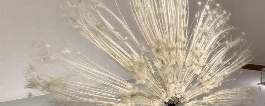 Pfauenmaschine,Rebecca Horn