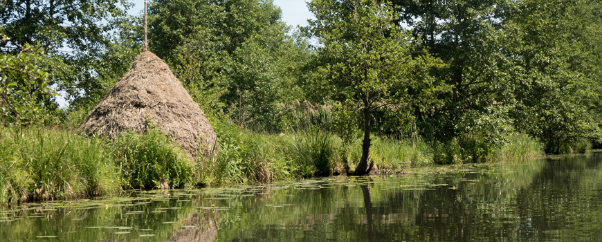 spreewald04