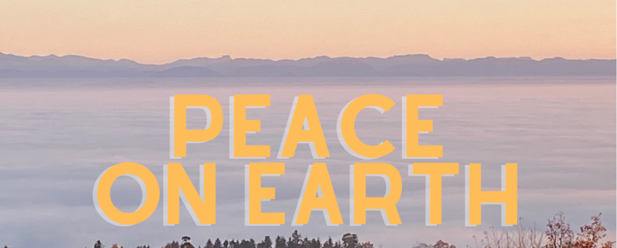 PEACE on Earth-2