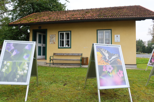 Das gelbe, kleine Mauthaus ist von der Seite zu sehen. Es steht auf einer Wiese. Davor ist eine Bank und Aufsteller mit Poster von lokaler Flora sind zu sehen