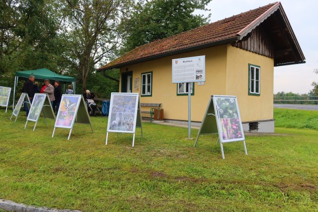 Das kleine, gelbe Mauthaus ist von schräg vorne zu sehen. Man sieht ganz viele Aufsteller, die Bilder von lokaler Flora und Fauna zeigen.