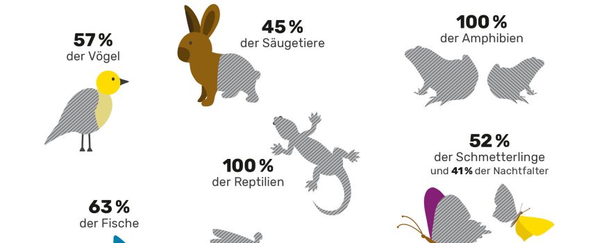 Infografik Biodiversität Gefährdete Tierarten in Österreich