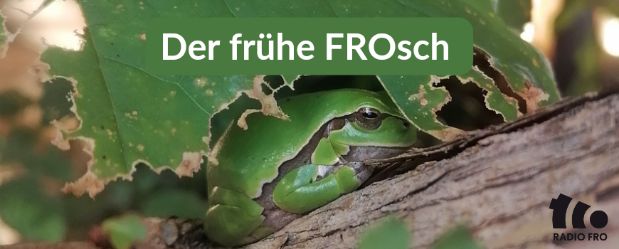 Der frühe FROsch die Morgensendung auf Radio FRO