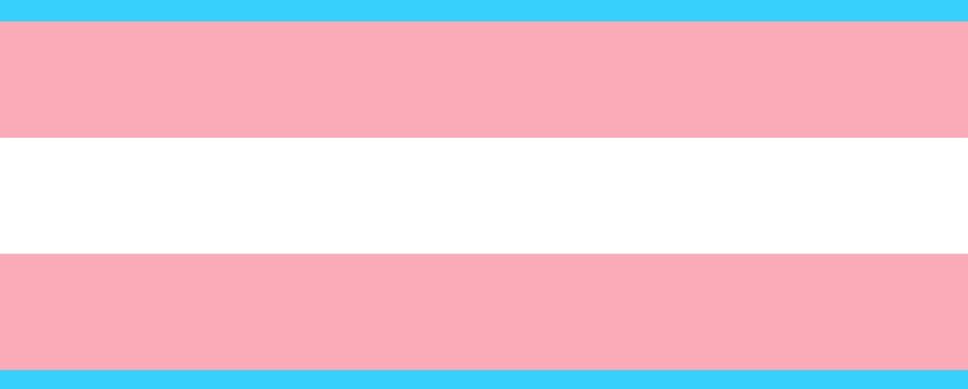 trans flagge