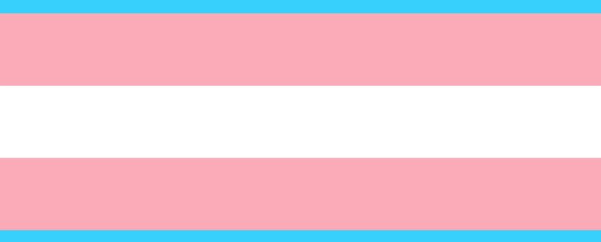 trans flagge