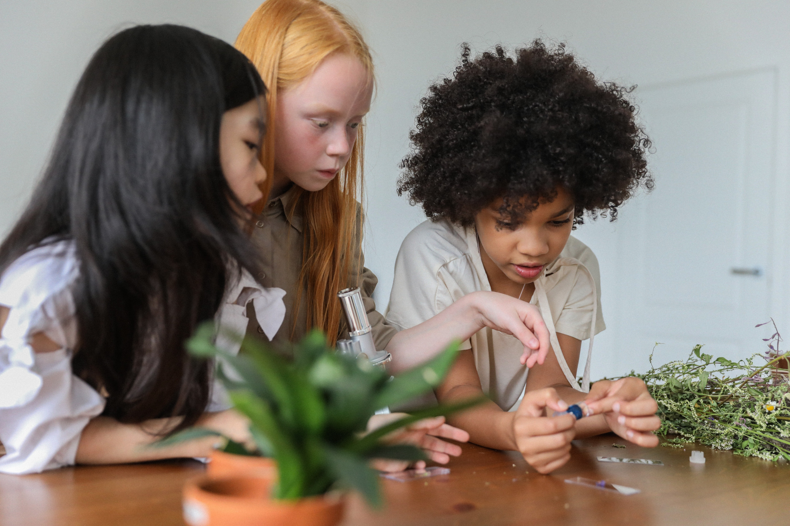 3 Kinder stehen an einem Tisch und schauen interessiert auf Pflanzen