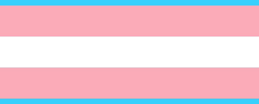 Transgender Day of Visibility Trans Gender Day of Visibility, 31.03.