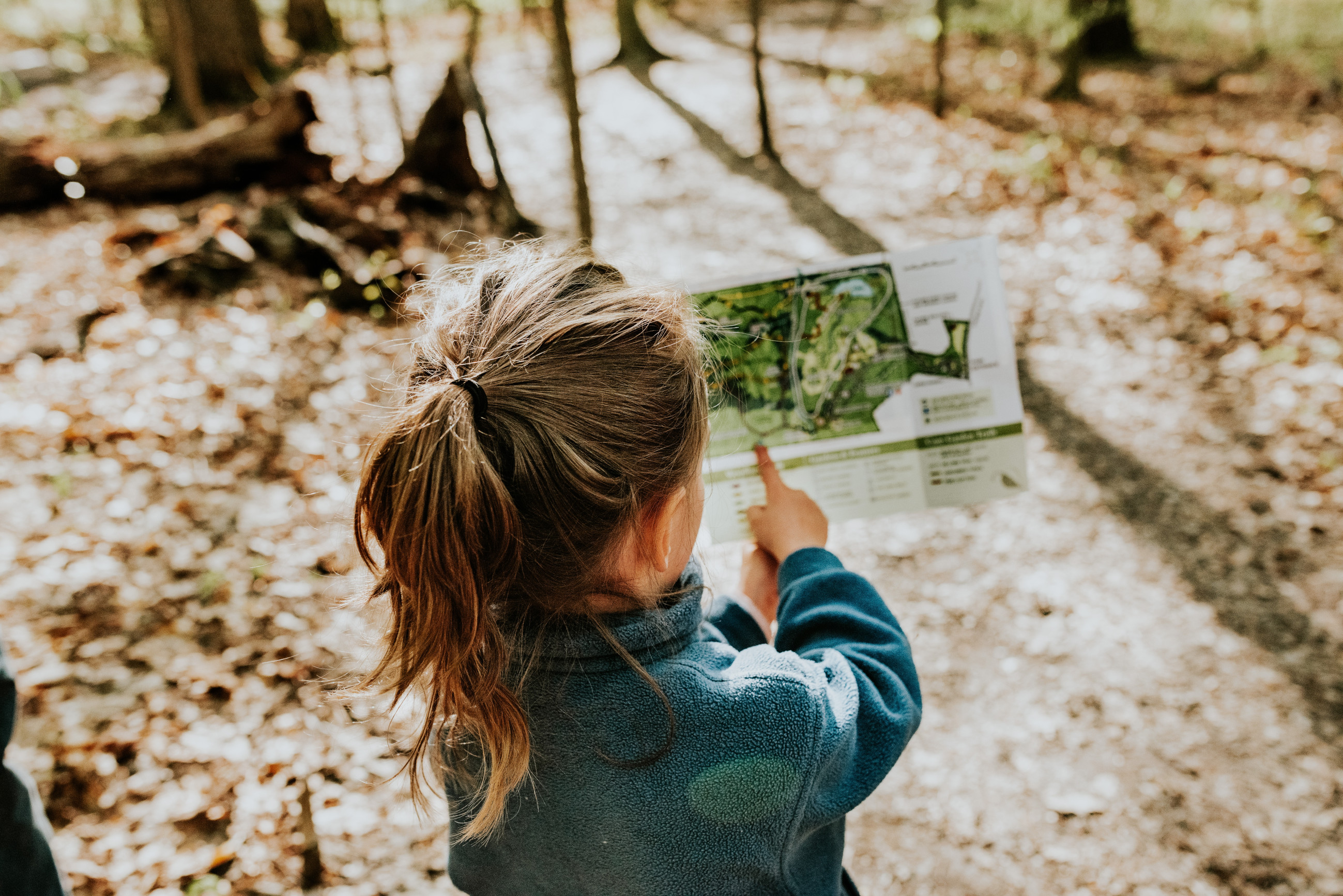 Ein Kind zeigt auf einen Plan, den es in der Hand hält. Es ist ein Wald abgebildet