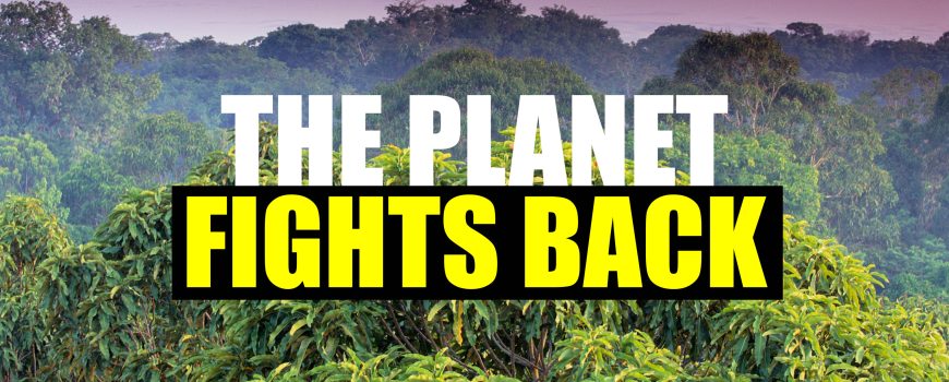 THE_PLANET_VS_BOLSONARO_SOCIAL_ASSETS_ALL_FORMATS_REPRO_SEP22113
