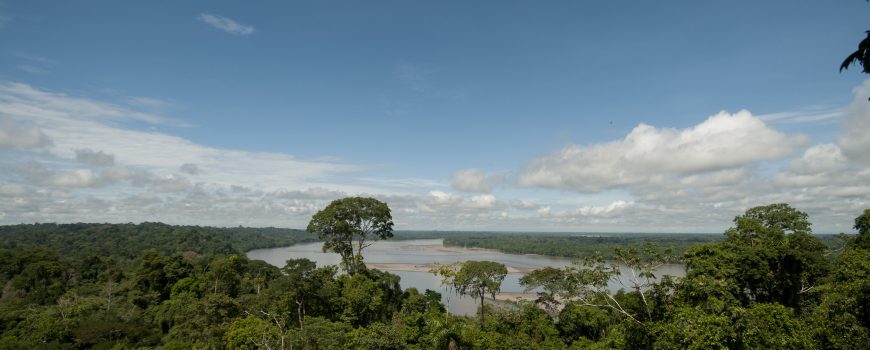 Yasuni Nationalpark Erdölabbau-Stopp in Ecuador