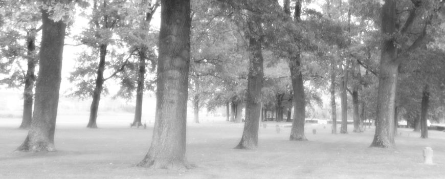  Friedhof Deinham 20