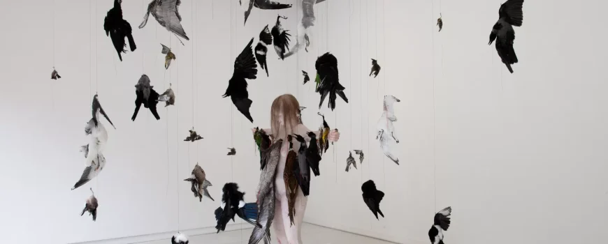 Claire Morgan, The inevitable heat death of the universe, 2023