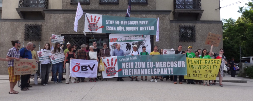 vlcsnap-2025-08-11-07h43m26s259 Stopp EU-Mercosur Pakt Demo Linz
