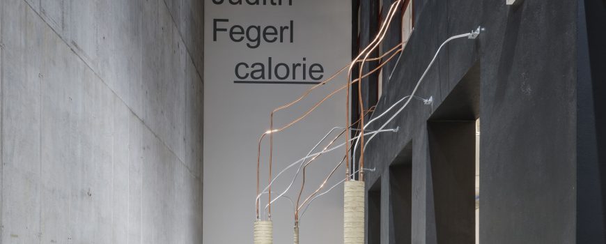 Ausstellungsansicht Judith Fegerl calorie