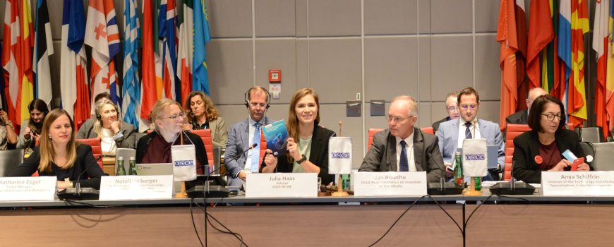 Julia Haas ist Beraterin des OSZE-Beauftragten für die Freiheit der Medien.