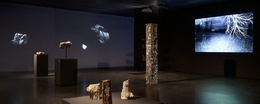 Ausstellungsansicht Lentos Kunstmuseum