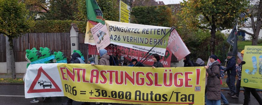 20251025_150631 Grüngürteldemo