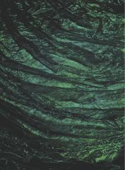 20260203-hresphrezerf-140684