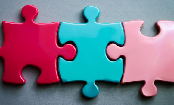 regierung-puzzle-01-578x400