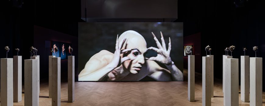 Ausstellungsansicht O.K, Carlos Motta