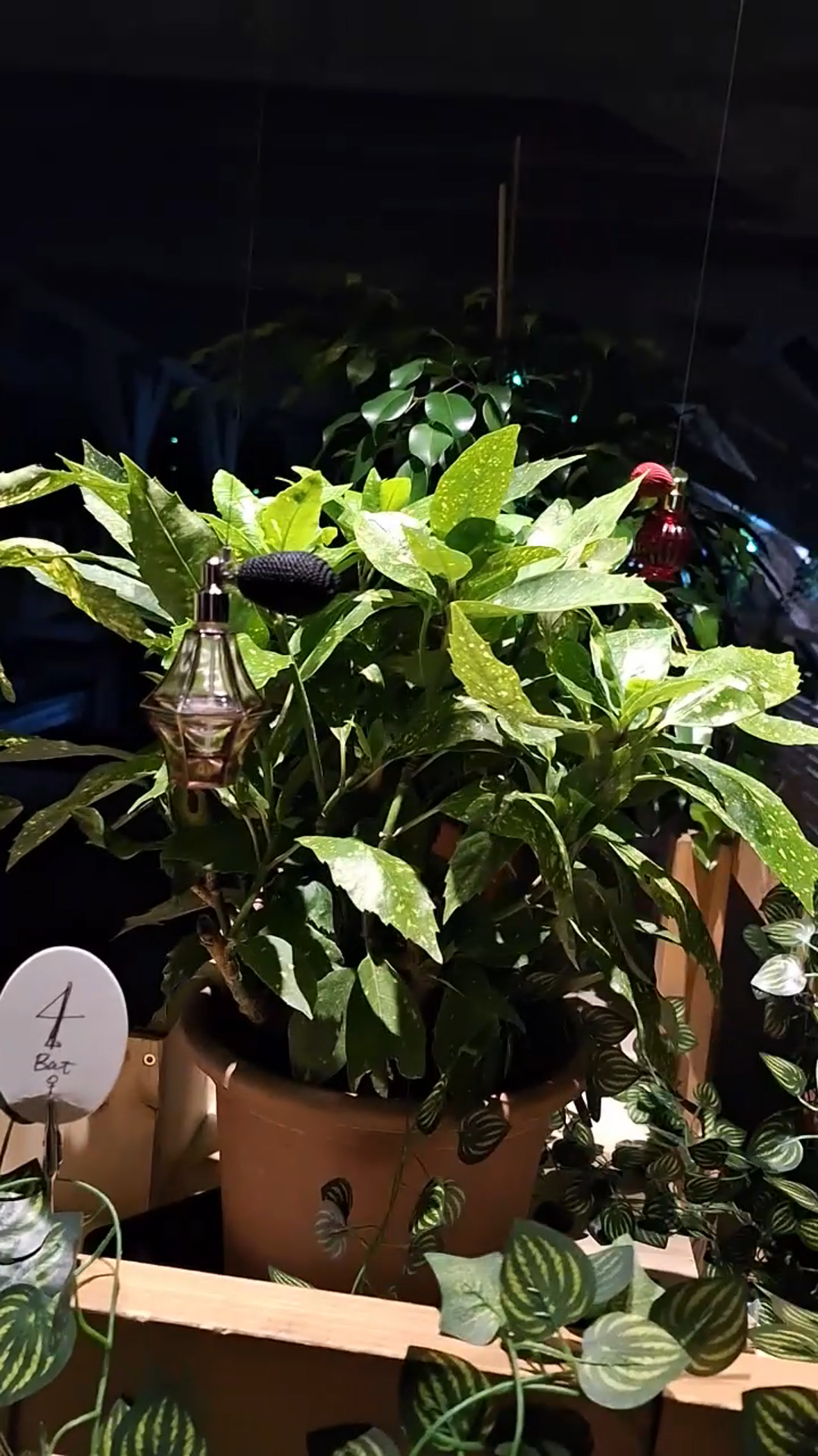 Ausstellung: Olfactory Biome von Maki Ueda Bild aus der Ausstellung "Olfactory Biome" von Maki Ueda