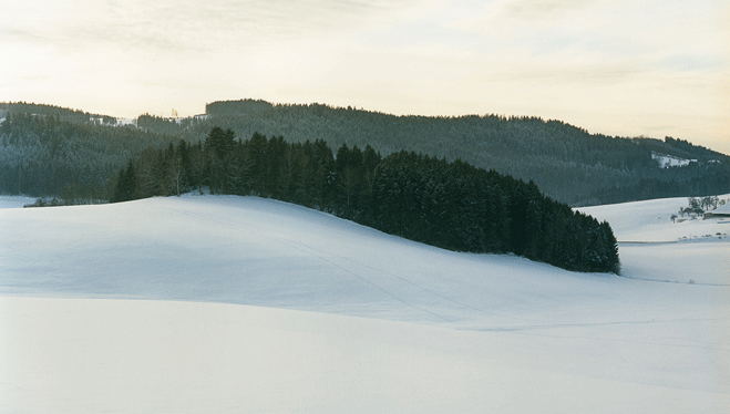 6d5dcc45365fd04f46564f13e403d6cd.gif Bernhard Fuchs
