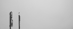 b6258ad07588a8454b2835523b88166f.jpg