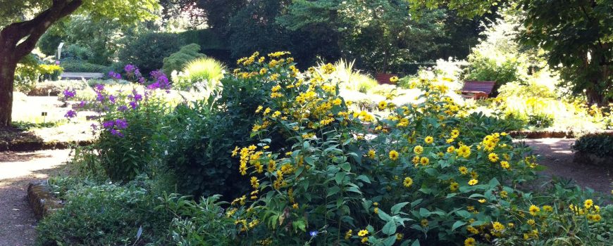  Linz, Botanischer Garten