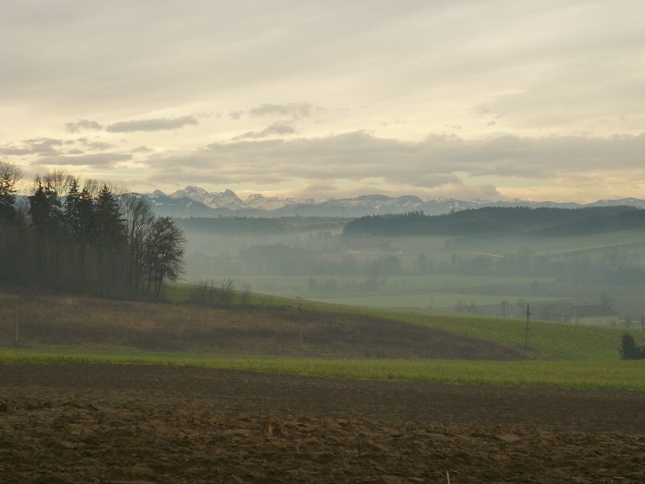 d699866d246b3de9044852b6a1eb45f8.jpg Erich Klinger
