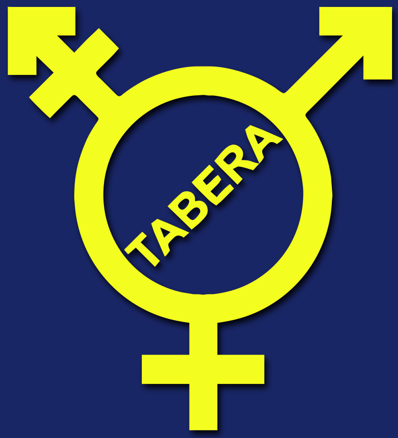 TABERATALK Radio FRO