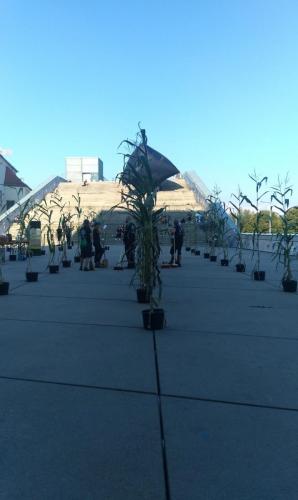 Klangwolke 2020 -  STWST48 AEC